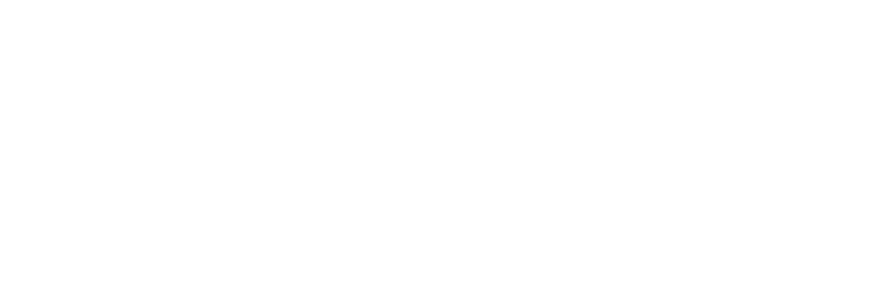 eclectic logo