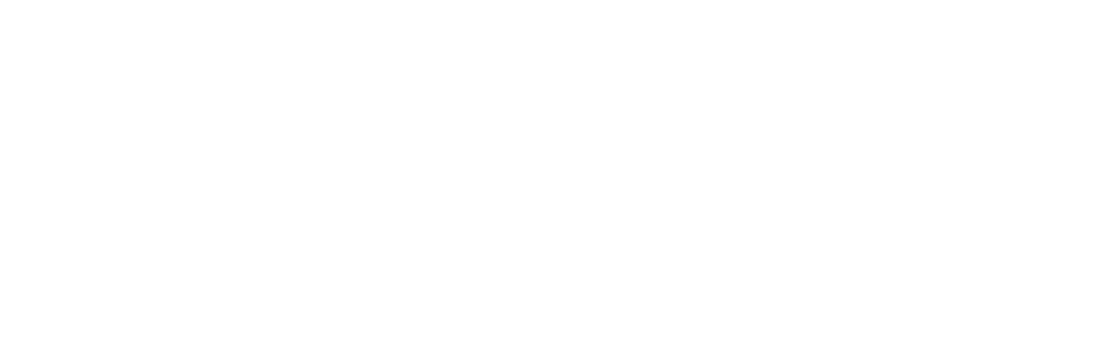 pajarito logo